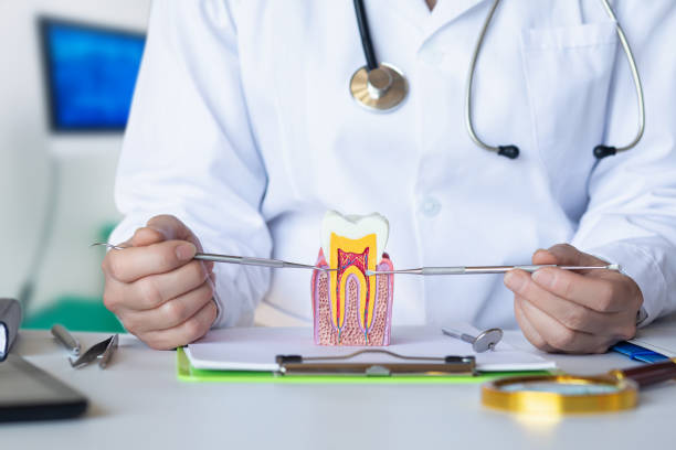 Best Urgent Dental Care for Toothache in Deerfield, MI